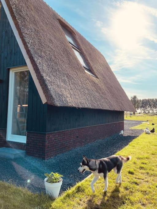Cozy Appartment On The Farm Loenen aan de Vecht Eksteriør bilde