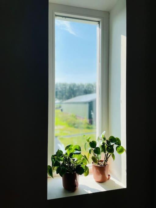 Cozy Appartment On The Farm Loenen aan de Vecht Eksteriør bilde